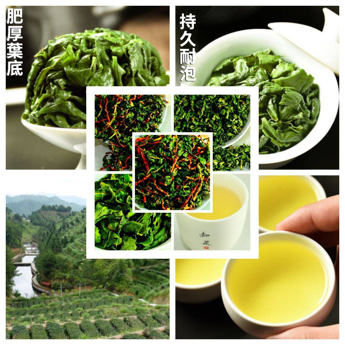 【汀和大福】【特級紅芯歪尾鐵觀音】新茶鐵觀音毛茶帶梗蘭花香， 老師傅手作 優選精品，味道濃香！【購買1000g及以上即送新茶250g】